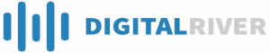 The Digital River Consulting Logo